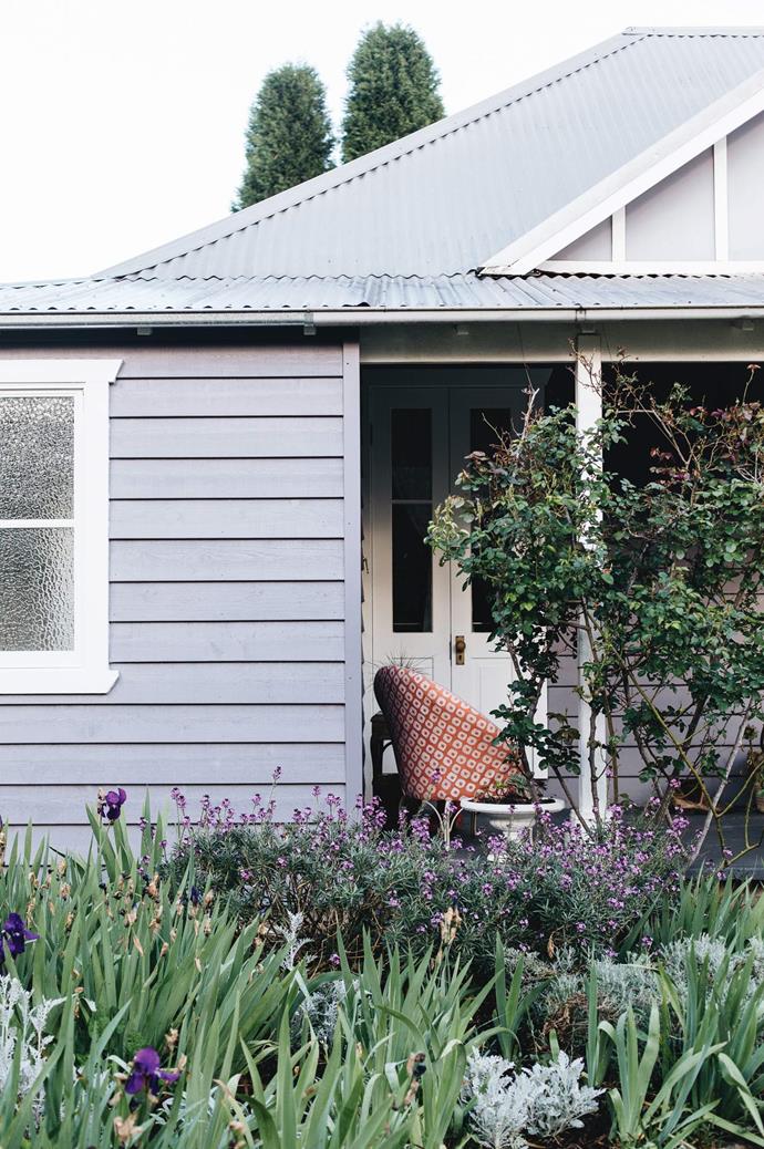 The front of this 1910 [weatherboard cottage in the NSW Southern Highlands](https://www.homestolove.com.au/colourful-weatherboard-cottage-14022|target="_blank") features white French doors and a beautiful cottage garden filled with lillacs, a hedge of teucrium and a cherry blossom tree.Abbie M