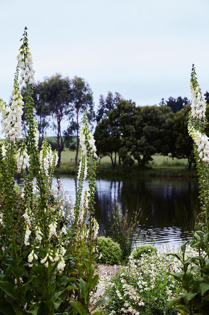 Though considered a rose grower's paradise, other beauties like cherries and crabapples also feature alongside massed birch and coppices of wattles. Etoline's Island is festooned with foxgloves, [flowering annuals and perennials](https://www.homestolove.com.au/perennial-plants-2079|target="_blank").