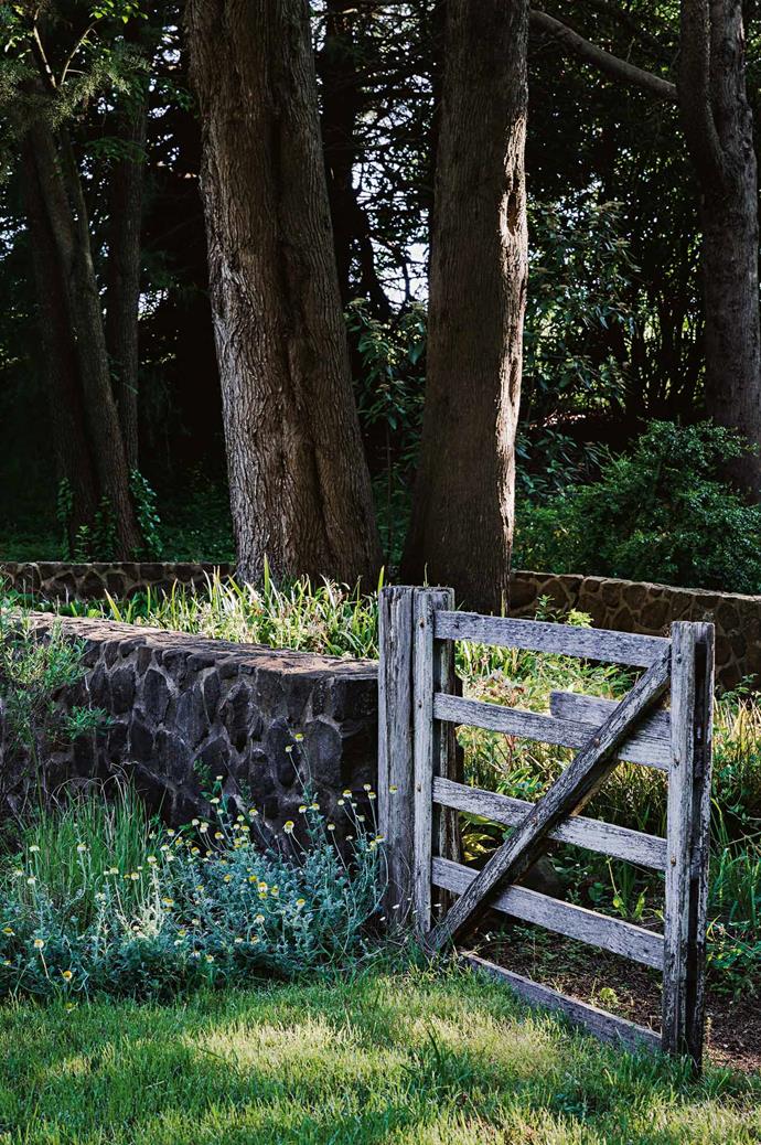 Rustic timber gates are also an Edna Walling signature touch. Andrew muses, "When I am mowing or working in the garden I regularly stop and wonder if Edna Walling knew how her planting scheme would look with mature trees that have a life and form all of their own."