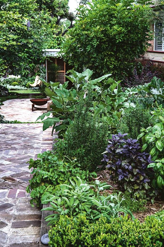 outdoor living: a multi-purpose garden | Inside Out