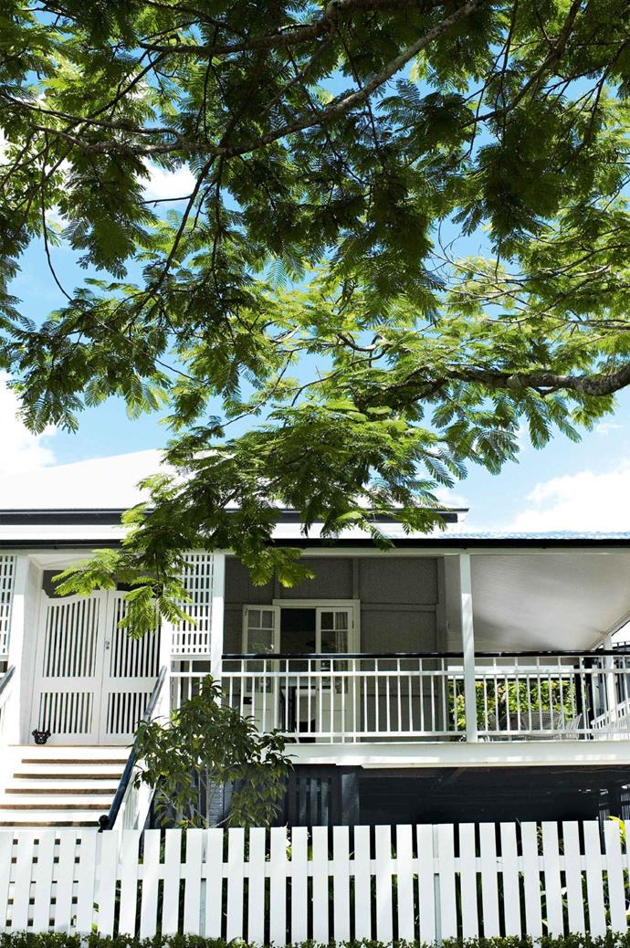 When the owners set eyes on this 'old Queenslander' it bore all the hallmarks so central to the style: elevated sitting, sweeping verandahs and generous rooms.
