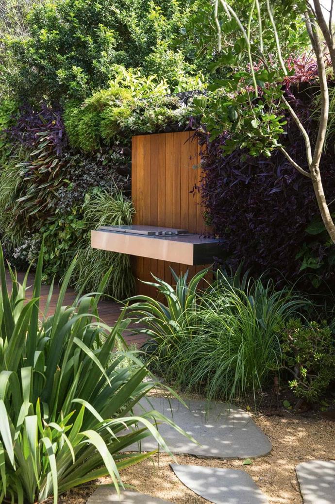 The timber deck is the new heart of the house and garden, with its dramatic backing of a green wall and floating barbecue. Bluestone pavers lead through islands of plantings to a courtyard featuring the sculptural forms of Banksia serrata.