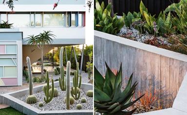 Palm Springs style: a striking modernist garden