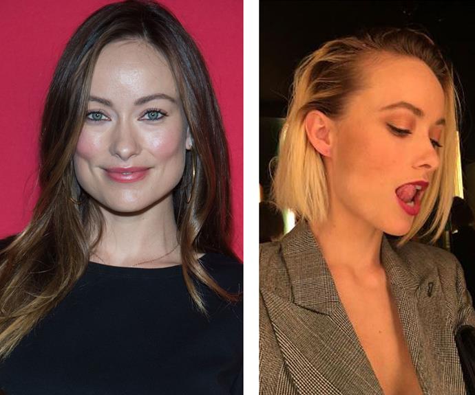 Olivia Wilde turned to hairstylist Harry Josh for this fresh, blonde cut. "#NoMoreMelania," she captioned her hair reveal pic on Insta. Burn.