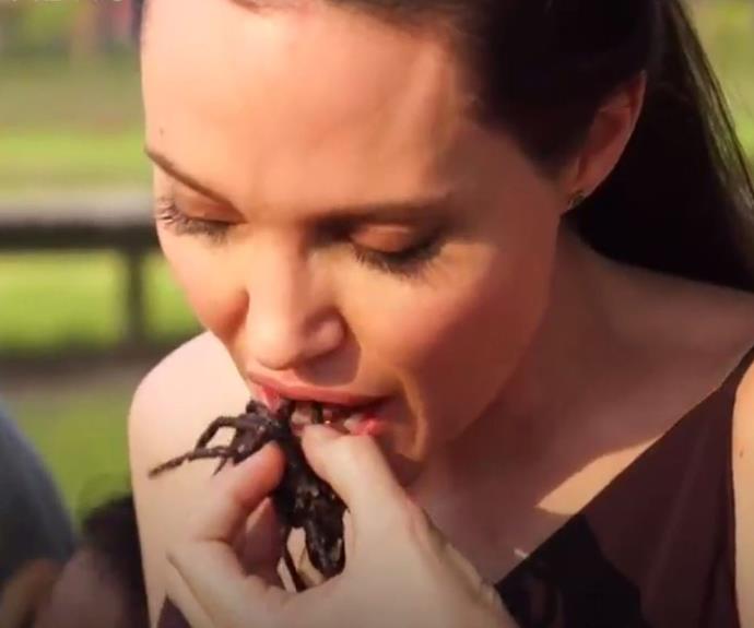 A scorpion a day keeps the doctor away, right Ange? (Image/BBC World News)