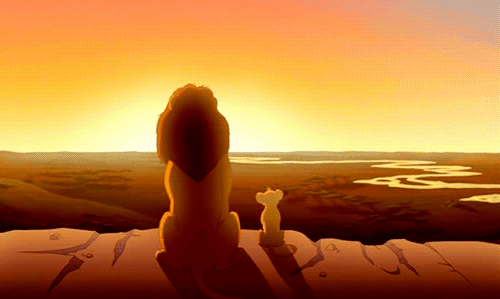 Everything the light touches is our kingdom...