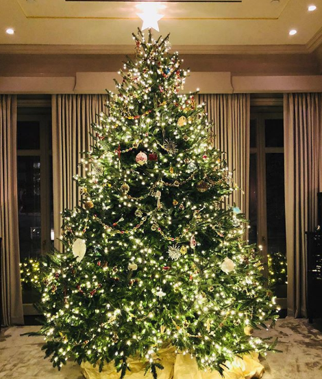 Host of *LIVE with Kelly and Ryan* and wife of *Riverdale*'s resident evil father Hiram Lodge (aka Mark Conseulos), Kelly Ripa captioned this photo of her mega-magical tree: "She's here...(Yes i said she. We can all agree that tree is one elegant lady)".