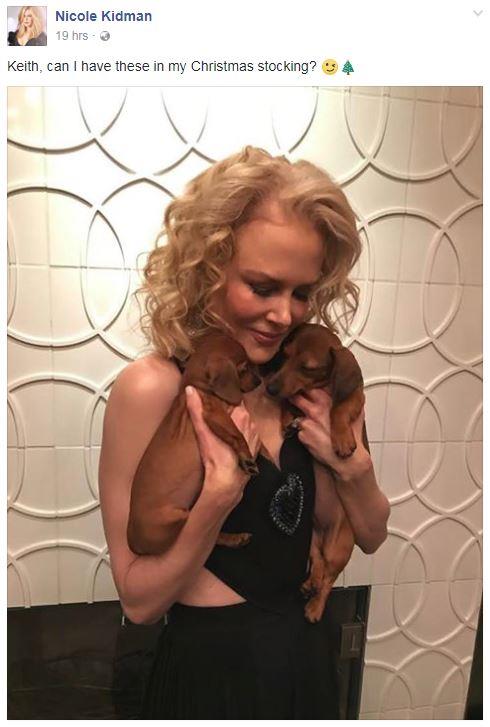 All Nicole Kidman wants for Christmas is not one, but TWO adorable sausage dogs. Take note, Keith!