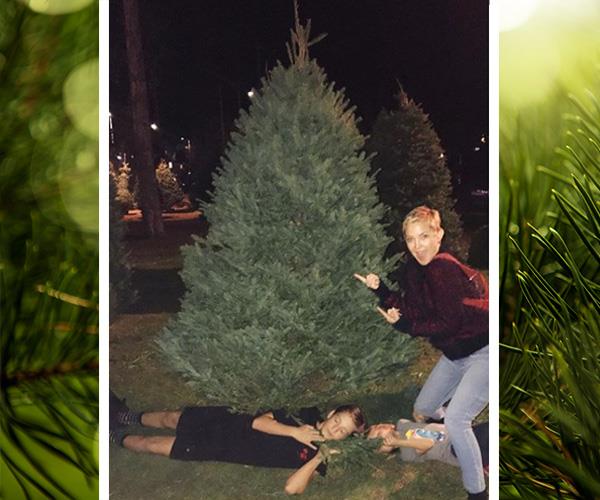 Boys will be boys. When actress Kate Hudson asked her sons to pose for a Christmas family portrait, this hilarious snap is what the mum-of-two came home with. "My kids interpretation of a 'nice pic' in front of the tree..." she captioned the shot.