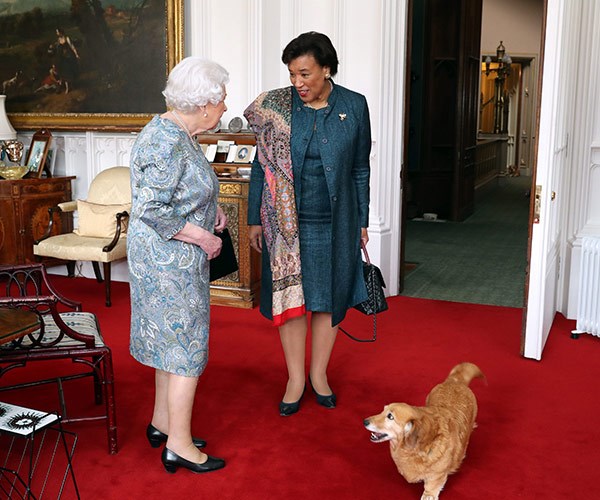 The Queen's corgis crash a very important Commonwealth meeting