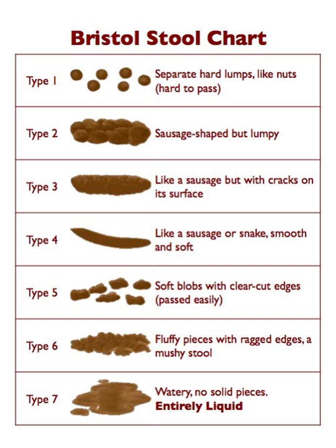 What your poo should and shouldn't look like | Now To Love