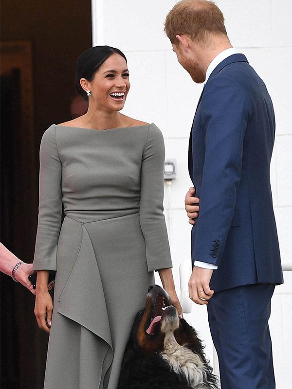 Meghan was taken with the politician's pooches.