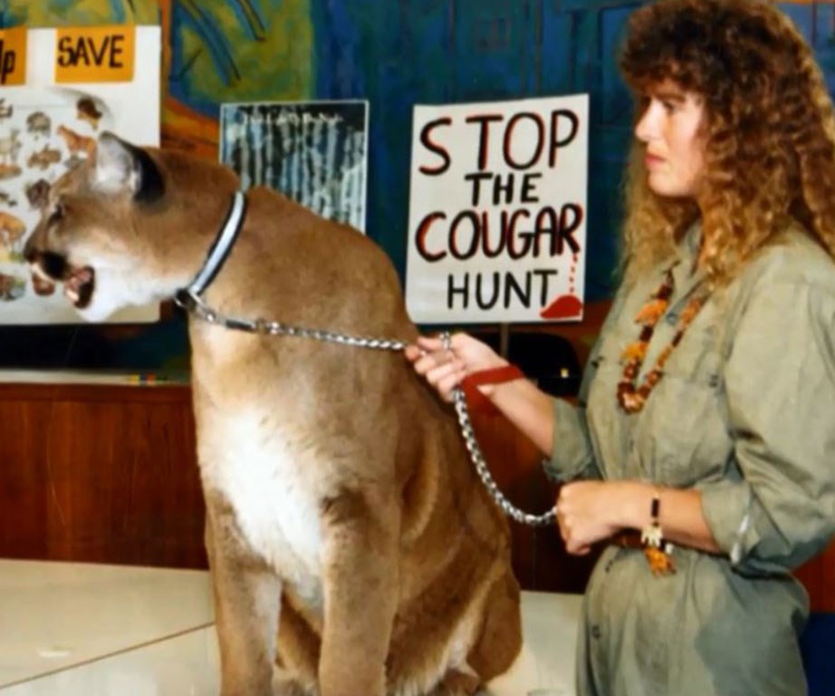 Terri set up an organisation to protect cougars, Cougar Country.