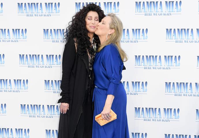 Cher and Meryl Streep on the red carpet at the premiere.