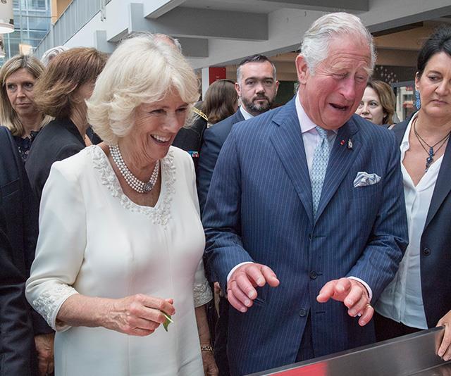 Charles and Camilla are open and candid in front of royal correspondents, a feat that has earned them respect over the years. *(Image: Getty)*