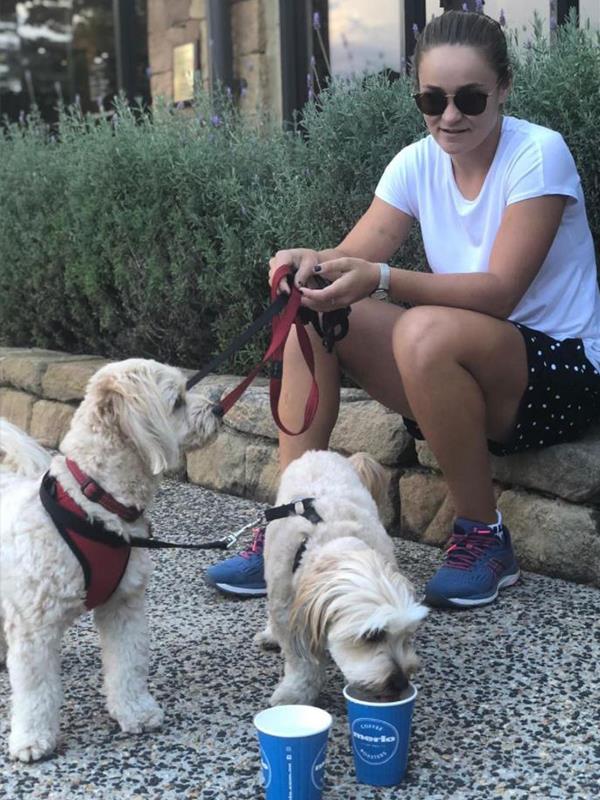 Puppycinos all round! Ash is a proud dog mama to Rudy, Maxi, Affie and Chino. *(Image: Instagram @ashbar96)*