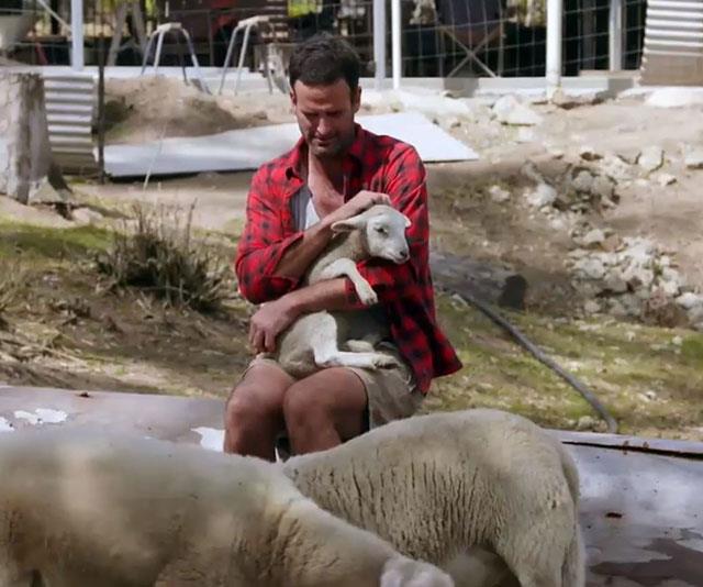 Lamb whisperer Mick is simply too pure for this world. *(Image: Channel Nine)*