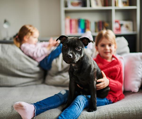 Children need to be taught to be appropriate and gentle when interacting with pets. *(Image: Getty Images)*