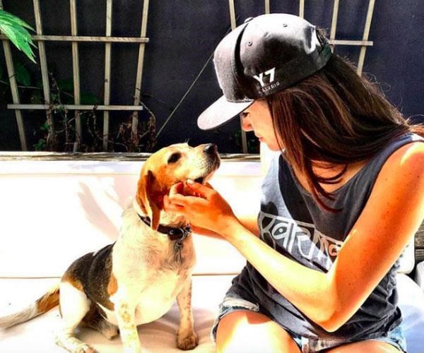 Meghan shared plenty of photos of her dogs on her now-deleted Instagram. *(Image: Instagram/@meghanmarkle)*