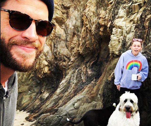 Liam Hemsworth and ex-wife Miley Cyrus used to love spending quality together with their pets in tow.