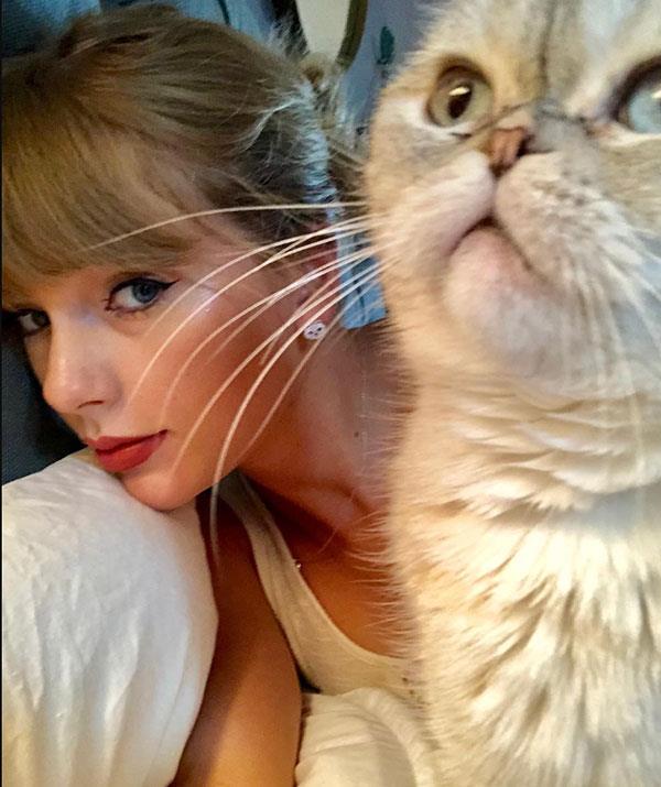 Taylor Swift's cat Olivia Benson is almost as famous as the popstar herself!