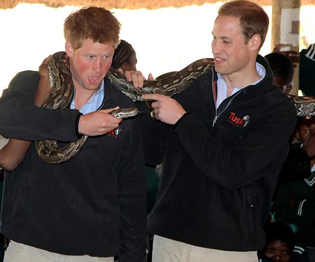 On a visit to Botswana in 2010, Prince Harry reckoned he could do a pretty good snake impression - although we're not sure William was convinced...