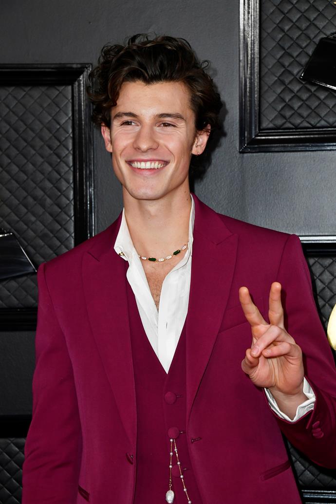 Shawn Mendes is a 70s mood and we're here for it.