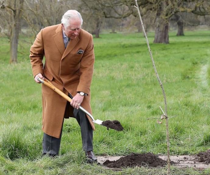 Prince Charles working on his green thumb.