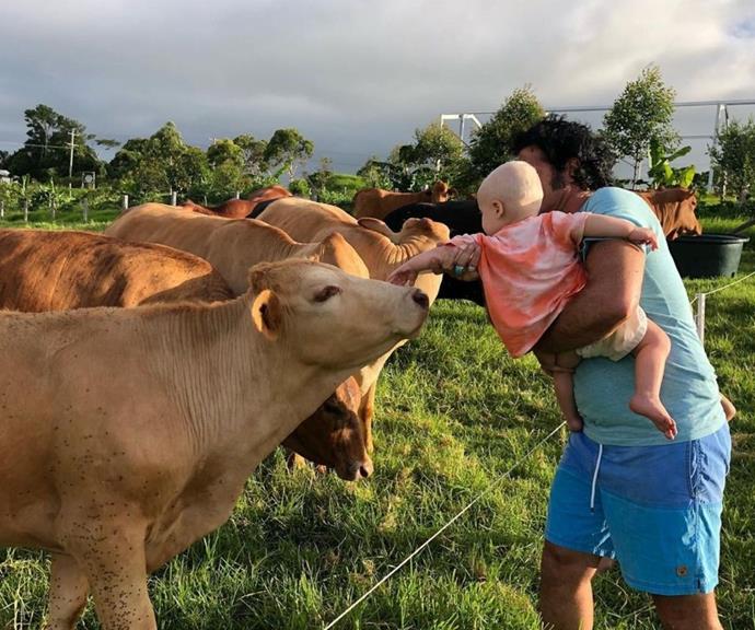 Lisa's husband Mark introduced his step-grandson to a cow.