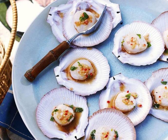 [Scallops with ginger and lemongrass](https://www.womensweeklyfood.com.au/recipes/scallops-with-ginger-and-lemongrass-20051|target="_blank")
<br><br>
Scallops on the half-shell always make a spectacular dish, treat your friends to something special with these delicious ginger and lemongrass scallops.