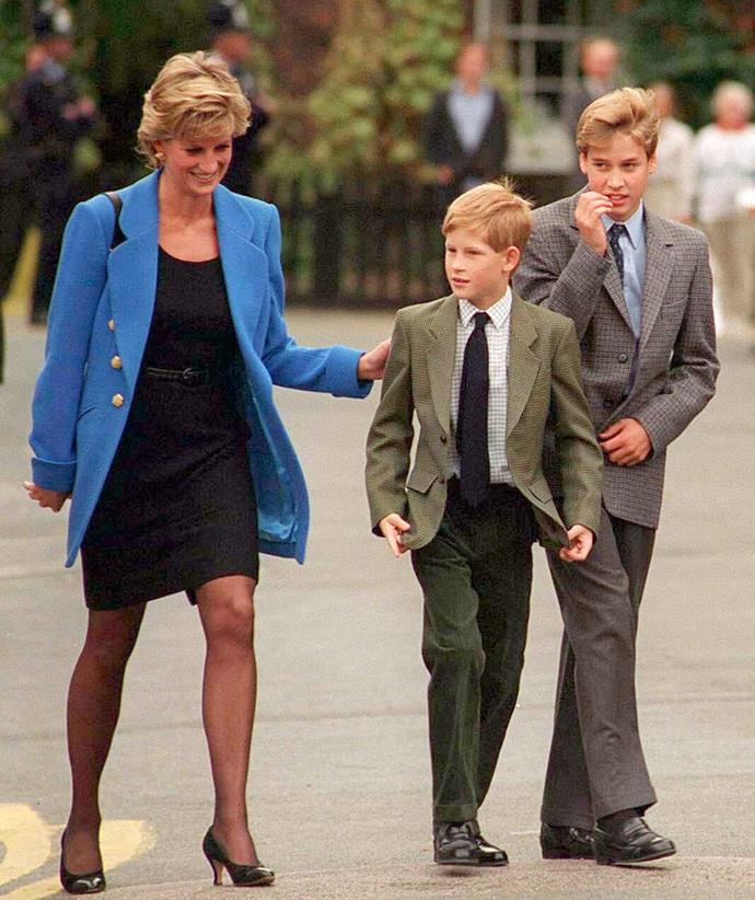 Prince William and Prince Harry were only young when Princess Diana died.