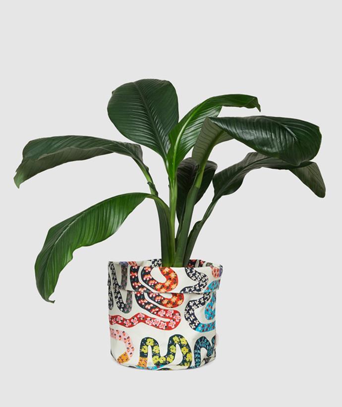 **For the woman who can never have enough plants in the house:** Gorman Flower Snake Planter, on sale for $39.20, from [The Iconic.](https://www.theiconic.com.au/flower-snake-planter-l-1508916.html|target="_blank")