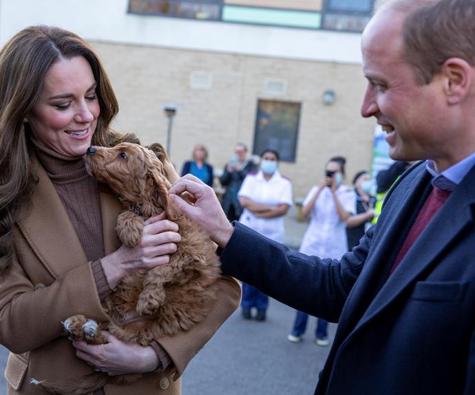 Alfie the therapy dog seemed smitten with the duchess.