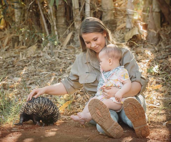 Proud mum Bindi wrote alongside this photo: "Happiness is meeting an echidna for the very first time."