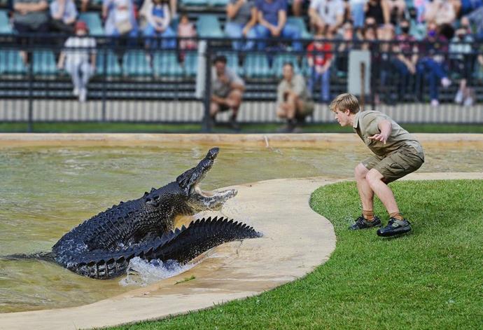 Robert was forced to flee for his life when a giant crocodile lunged at him.
