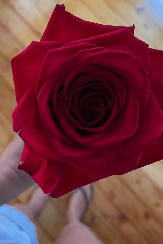**Sarah and James**
<br><br>
Her forever bachelor! James Stewart made sure his wife Sarah Roberts felt special by gifting her a romantic red rose, and she posted the sweet gesture onto her Instagram stories. 