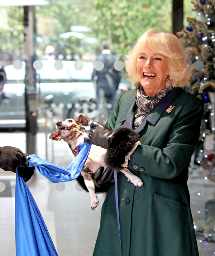Camilla couldn't help but laugh in this chic green ensemble as she visited Battersea Dogs and Cats Home in 2020 and her little terrier Beth stole the show.