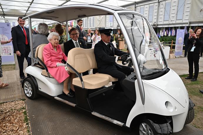 The Queen arrived at the Chelsea Flower Show in a buggy.