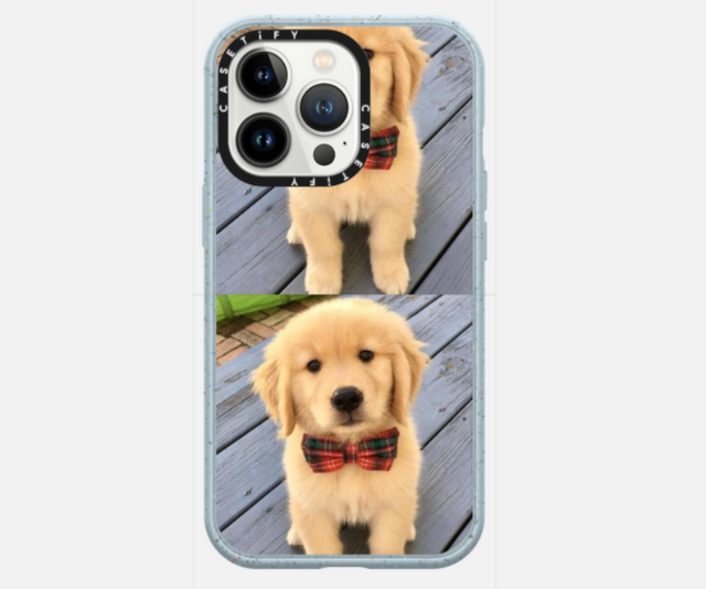 Custom iPhone case, prices vary at [Casetify](https://www.casetify.com/|target="_blank"|rel="nofollow")