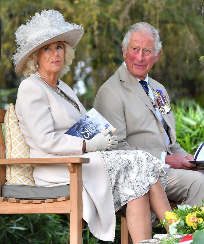 Prince Charles and Camilla, Duchess of Cornwall were once Britain's most polarising couple.