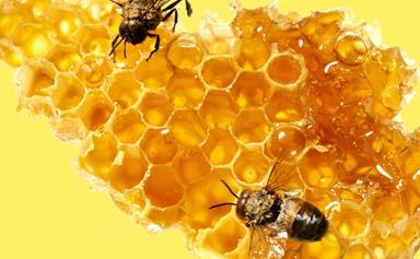 Why you should be eating more honey