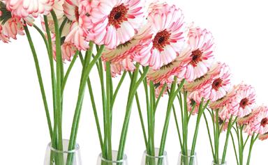 6 simple ways to make your flowers last longer