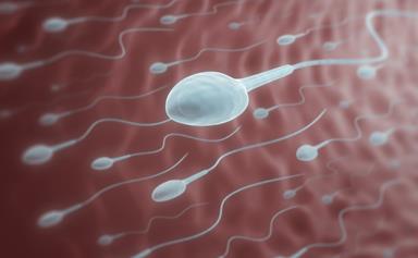 Kiwi expert explains why men's sperm counts have halved