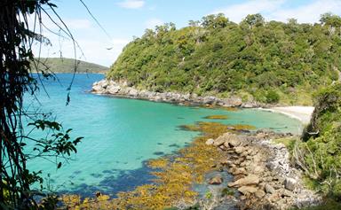 Things to do in Stewart Island