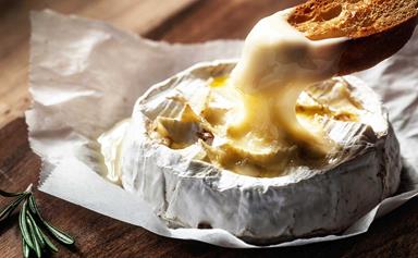 Cheese is actually quite good for you