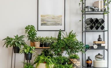The health benefits you'll enjoy when you bring nature into your home