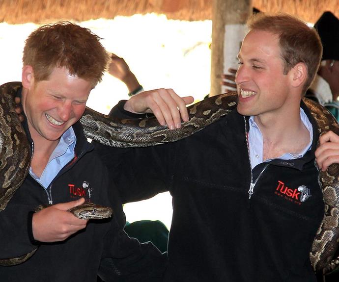 But at the end of the day he adores Prince William.