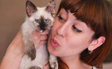 Six signs that you're obsessed with your cat