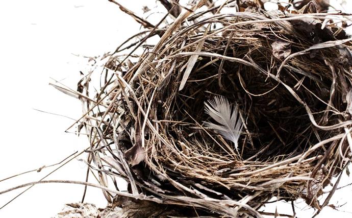 Empty nest: One mum's tips for how to adjust when your children fly the coop