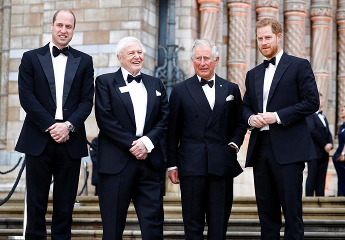 Prince William, David Attenborough, Prince Charles and Prince Harry at the premiere of *Our Planet*, a Netflix docu-series which explores how climate change affects the environment. *(Image: Getty)*